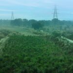 On Biodiversity Day, Vedanta Aluminium Announces Multiple Initiatives to Protect Wildlife and Restore Habitats Across Its Operations
