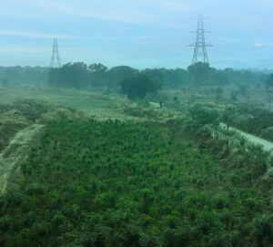 On Biodiversity Day, Vedanta Aluminium Announces Multiple Initiatives to Protect Wildlife and Restore Habitats Across Its Operations