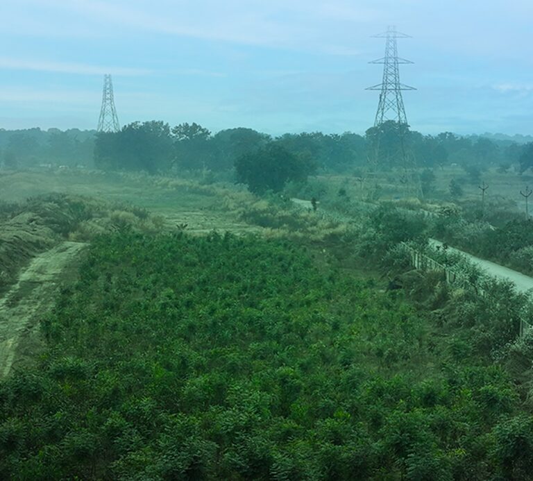 On Biodiversity Day, Vedanta Aluminium Announces Multiple Initiatives to Protect Wildlife and Restore Habitats Across Its Operations