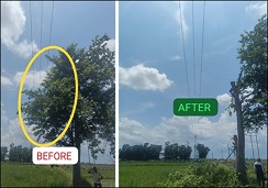 Tata Power-led Odisha Discoms Conduct Swift De-vegetation Drive to Safeguard Power Assets During Monsoons