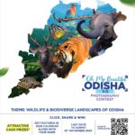Tata Power led Odisha Discoms extend deadline for ‘Oh My Beautiful Odisha 3.0’; Inviting participants to showcase the State’s Breathtaking Biodiversity and Landscapes