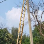 TPCODL Powers Asia’s Largest Trade Fair Baliyatra: 130-Acre Fairground Electrified with Robust Infrastructure and Safety Measures