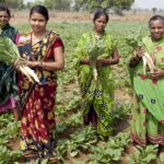 On Farmers Day, Vedanta Aluminium Reaffirms Commitment to Empowering over 20,000 Farmers with Technology and Sustainable Farming Practices