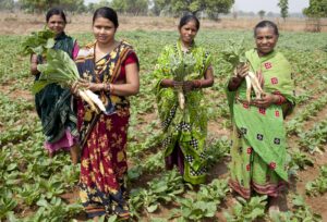 On Farmers Day, Vedanta Aluminium Reaffirms Commitment to Empowering over 20,000 Farmers with Technology and Sustainable Farming Practices