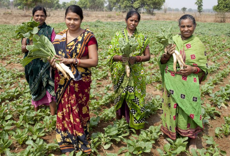 On Farmers Day, Vedanta Aluminium Reaffirms Commitment to Empowering over 20,000 Farmers with Technology and Sustainable Farming Practices
