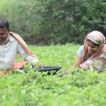 Vedanta Aluminium’s VedGram Strengthens Rural Livelihoods and Sustainable Farming in Jharsuguda