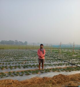 From Engineer to Agri-Innovator: How Tata Steel Foundation Fueled Bhagirathi Swain’s Strawberry Journey in Sukinda