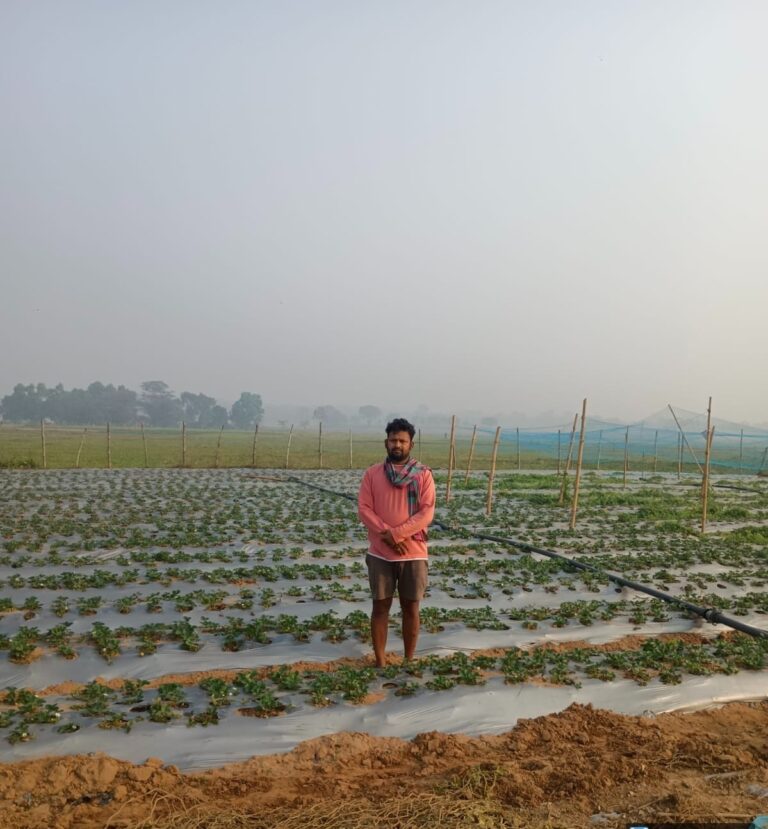 From Engineer to Agri-Innovator: How Tata Steel Foundation Fueled Bhagirathi Swain’s Strawberry Journey in Sukinda