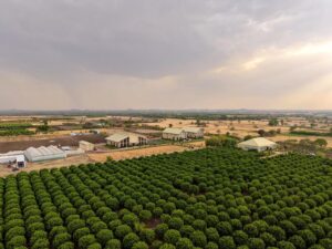 TAFE’s JFarm inaugurated in Rajasthan to empower the farming community