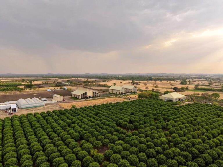 TAFE’s JFarm inaugurated in Rajasthan to empower the farming community