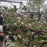 Kalbaishakhi Storm Severely Damages Power Network in Sundergarh and Bargarh; TPWODL Launches Massive Restoration Drive