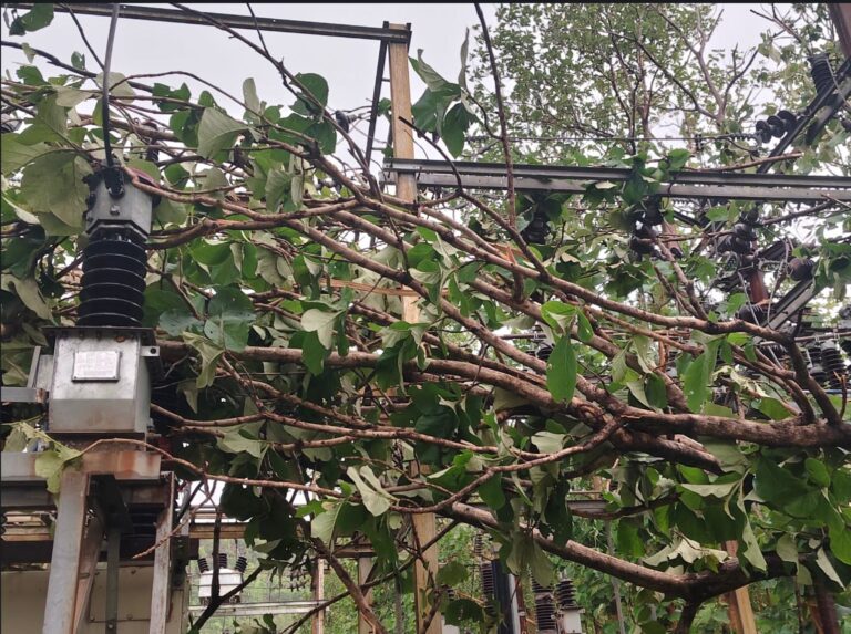 Kalbaishakhi Storm Severely Damages Power Network in Sundergarh and Bargarh; TPWODL Launches Massive Restoration Drive