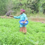 Vedanta Aluminium Nurtures Resilient Rural Communities in Jharsuguda