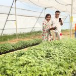 From Farmer to Entrepreneur: How TPWODL’s ‘Project Sakshama’ Initiative is Transforming Women’s Lives in Western Odisha