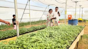 From Farmer to Entrepreneur: How TPWODL’s ‘Project Sakshama’ Initiative is Transforming Women’s Lives in Western Odisha