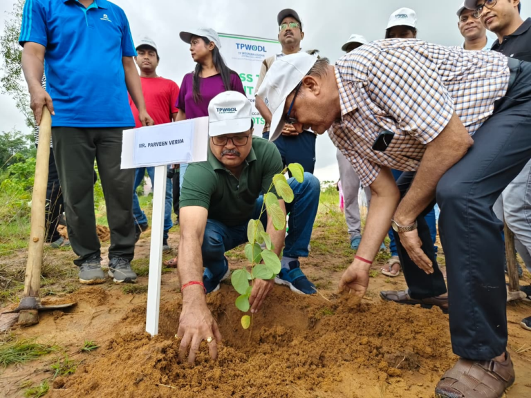 TPWODL Plants Over 4,300 Saplings Across Western Odisha During Van Mahotsav Week 2026
